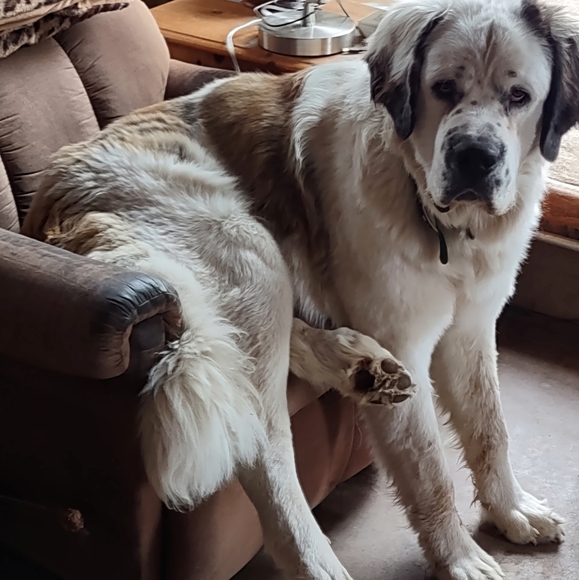 Hello - Picture 9 of 9